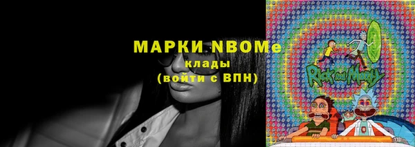 прущие грибы Вуктыл