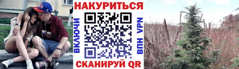 ссылка на мегу зеркало  купить наркотики цена  Дигора  Марихуана семена 